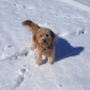 Meet your Posher, Zoe